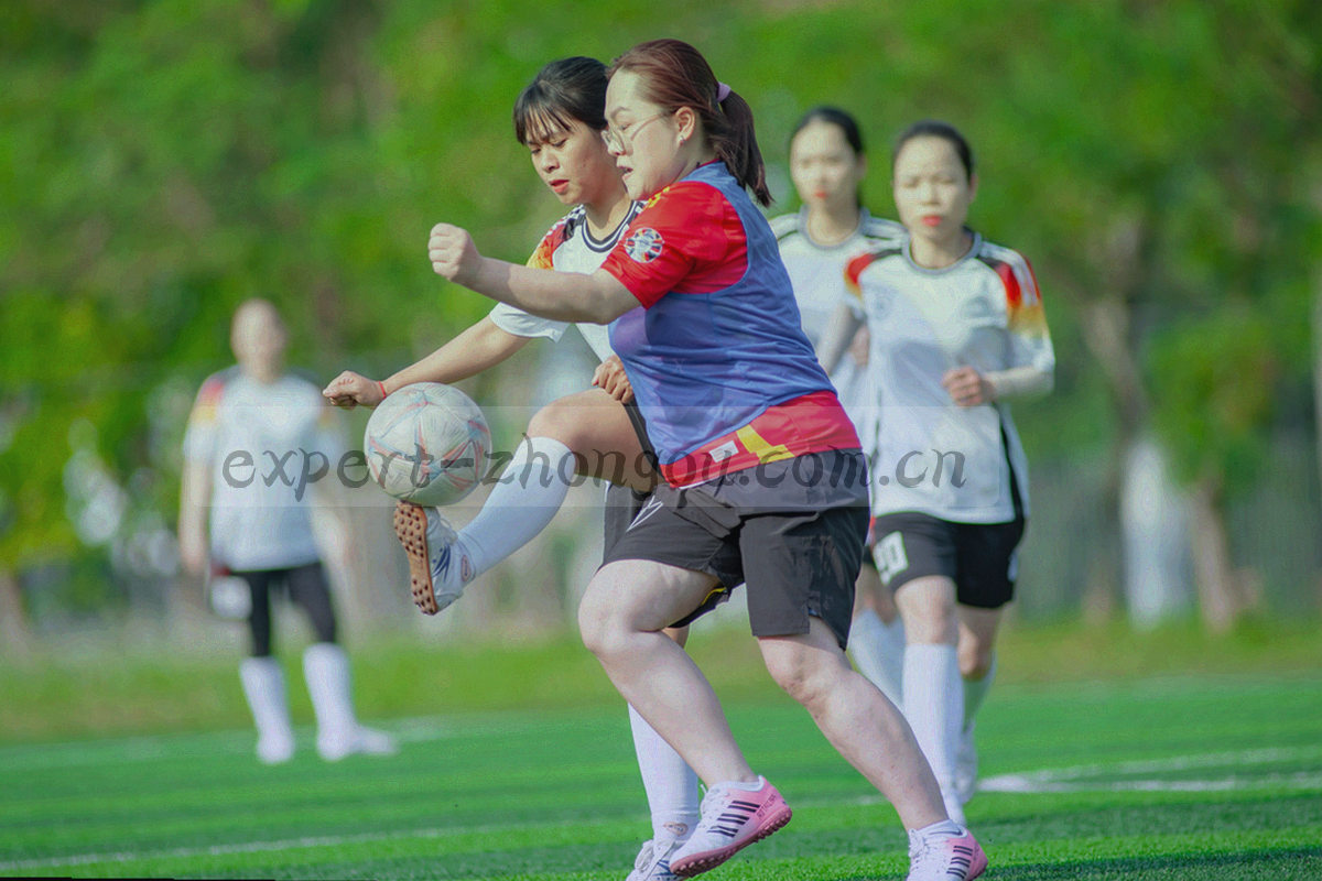 抽象城市街道网格、草原色块与通信线条组合成的联系场景